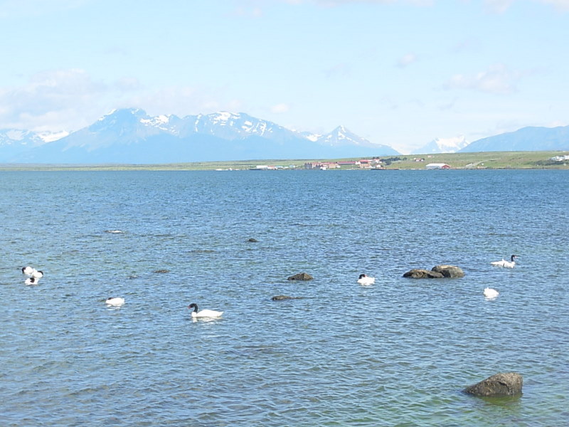 Foto de Puerto Natales, Chile