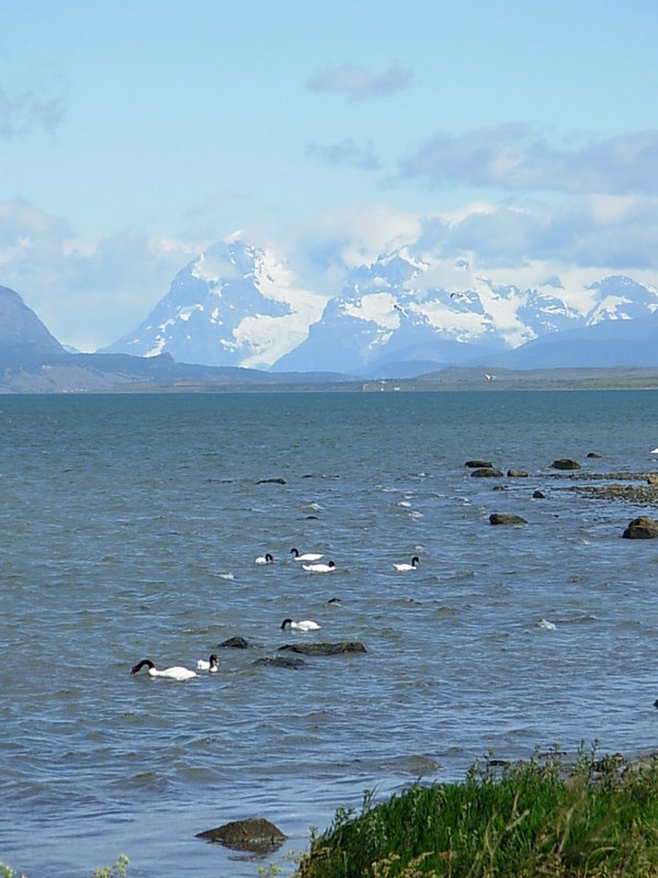 Foto de Puerto Natales, Chile