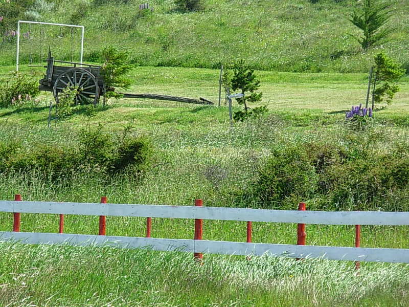 Foto de Puerto Natales, Chile