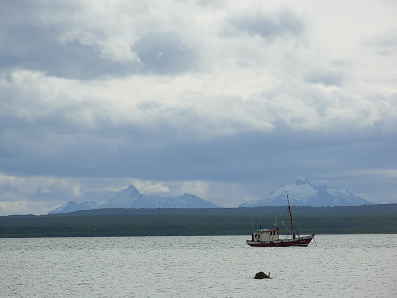 Foto de Puerto Natales, Chile