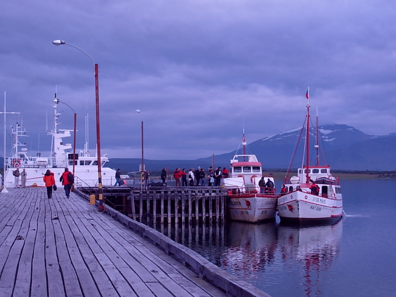 Foto de Puerto Natales, Chile