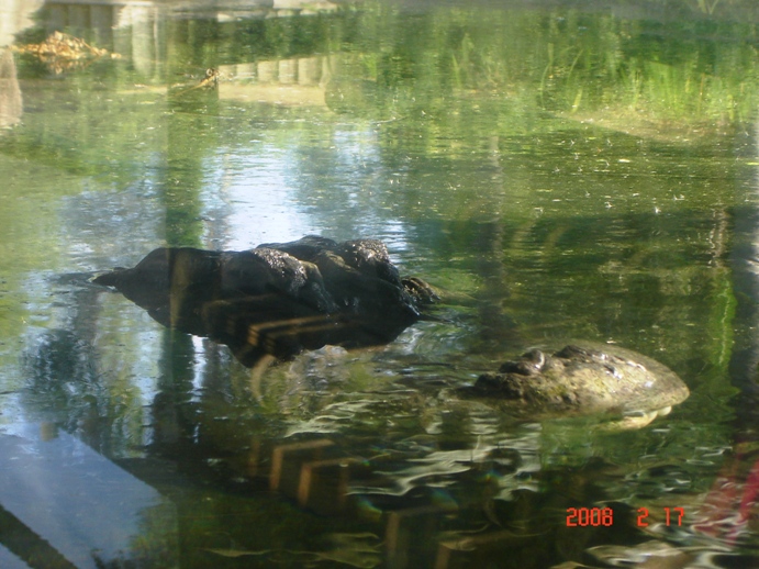 Foto de Escobar, Buenos Aires, Argentina