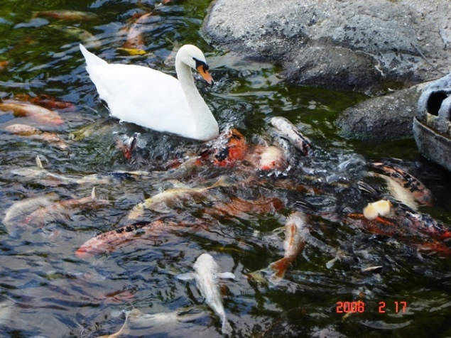 Foto de Escobar, Buenos Aires, Argentina