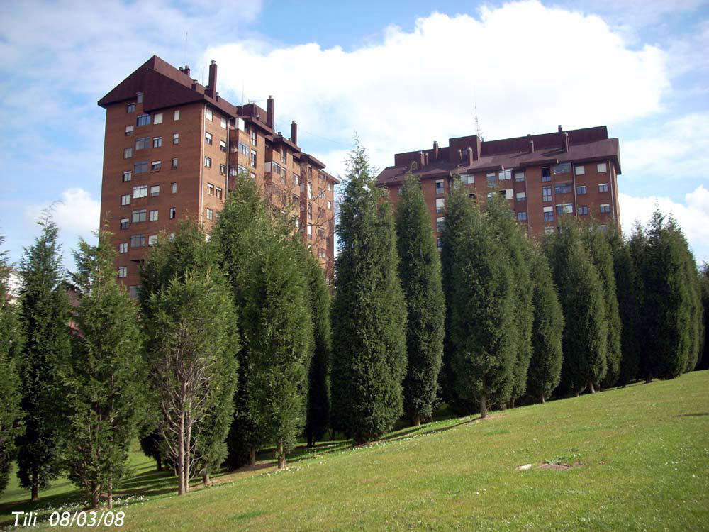 Foto de Oviedo (Asturias), España