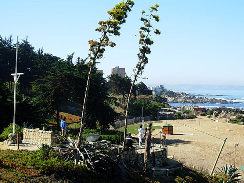 Foto de Isla Negra - El Quisco, Chile