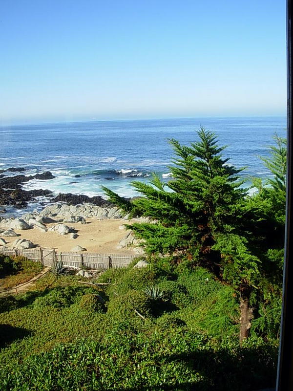 Foto de Isla Negra - El Quisco, Chile