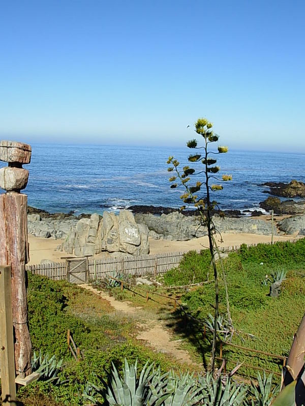 Foto de Isla Negra - El Quisco, Chile