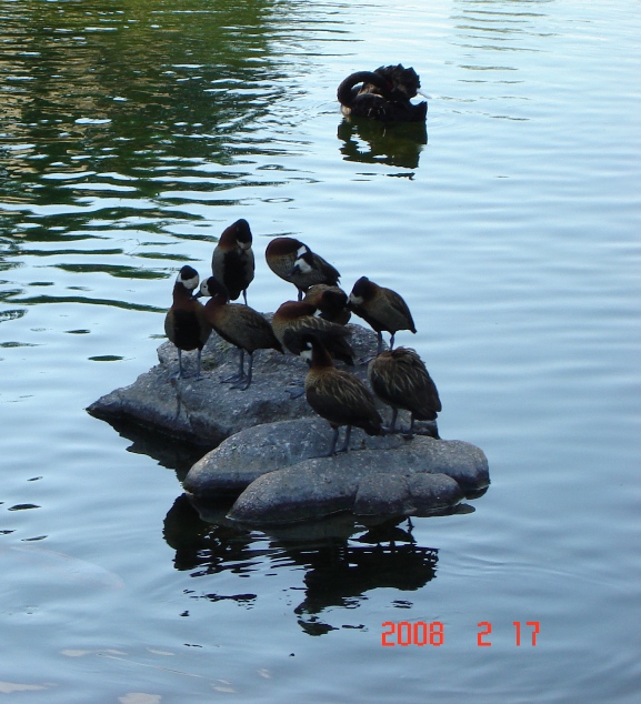 Foto de Escobar, Buenos Aires, Argentina