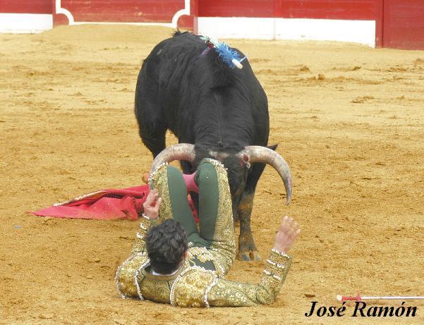 Foto de Jerez de la Frontera (Cádiz), España