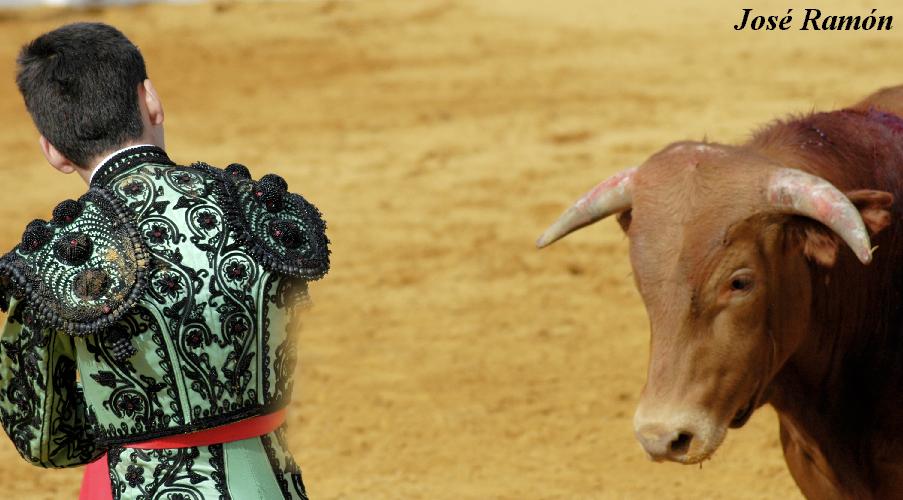 Foto de Jerez de la Frontera (Cádiz), España