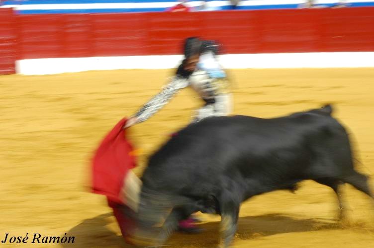 Foto de Jerez de la Frontera (Cádiz), España