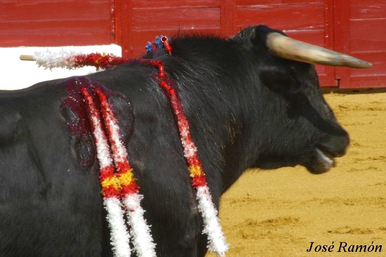 Foto de Jerez de la Frontera (Cádiz), España