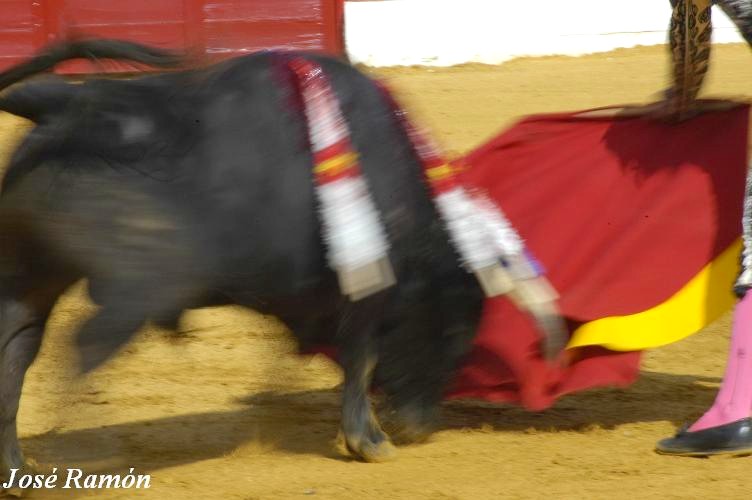 Foto de Jerez de la Frontera (Cádiz), España