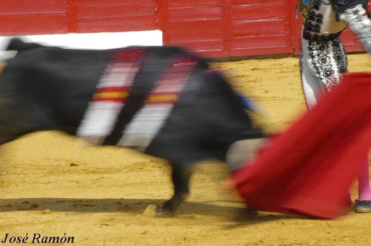 Foto de Jerez de la Frontera (Cádiz), España