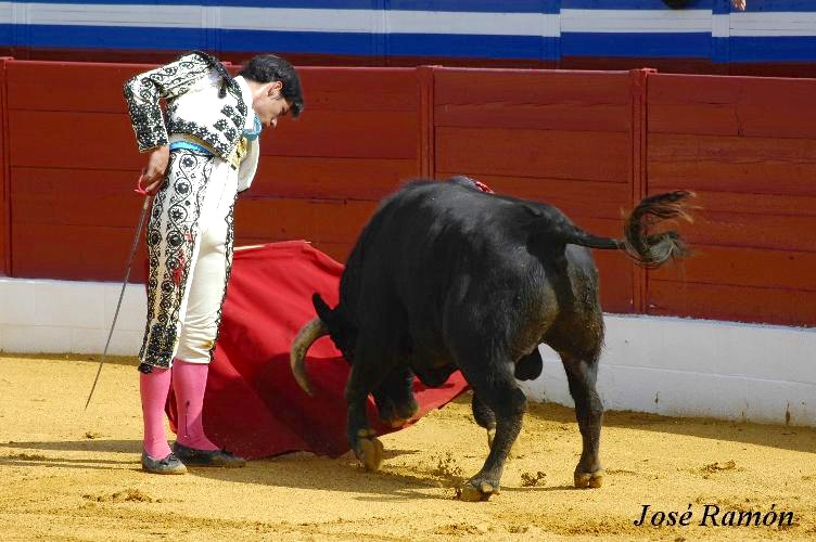 Foto de Jerez de la Frontera (Cádiz), España