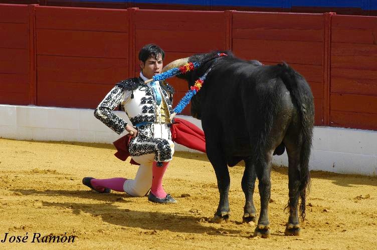 Foto de Jerez de la Frontera (Cádiz), España