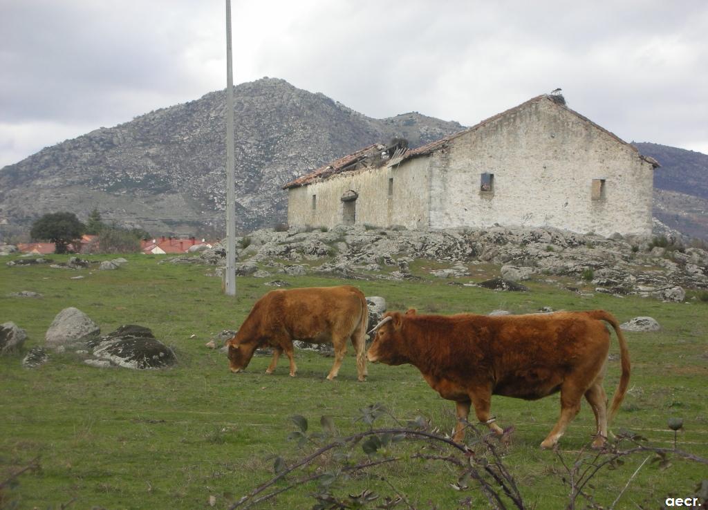 Foto de Peralejo (Madrid), España