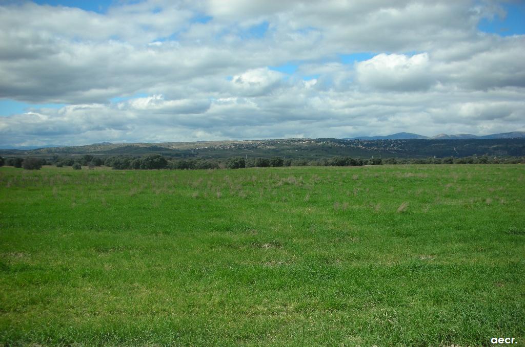 Foto de Villanueva de la Cañada (Madrid), España