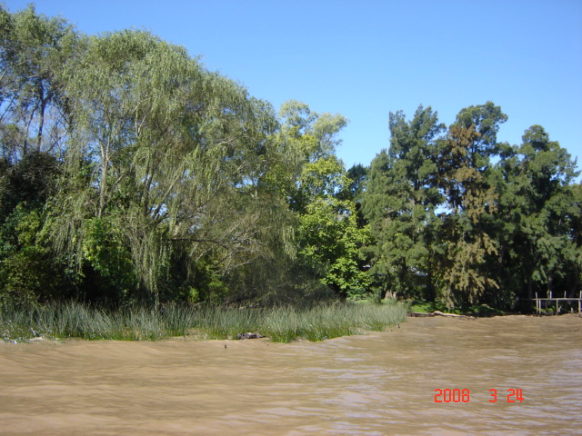 Foto de Tigre - Buenos Aires, Argentina