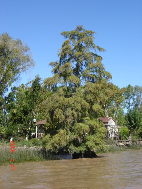 Foto de Tigre - Buenos Aires, Argentina