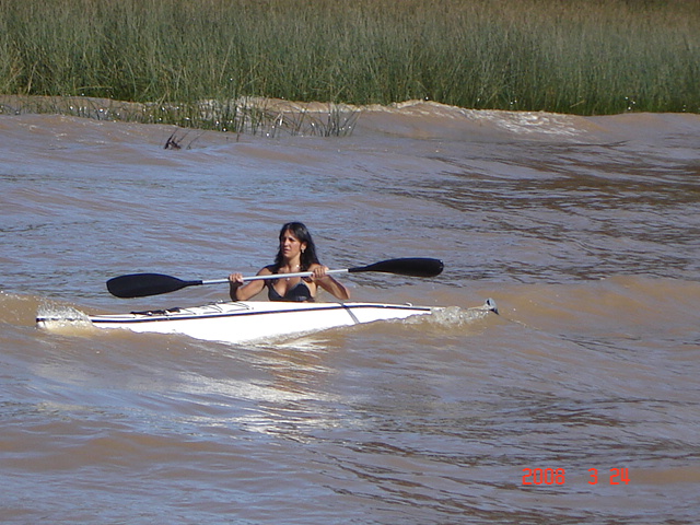 Foto de Tigre - Buenos Aires, Argentina