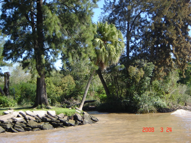 Foto de Tigre - Buenos Aires, Argentina