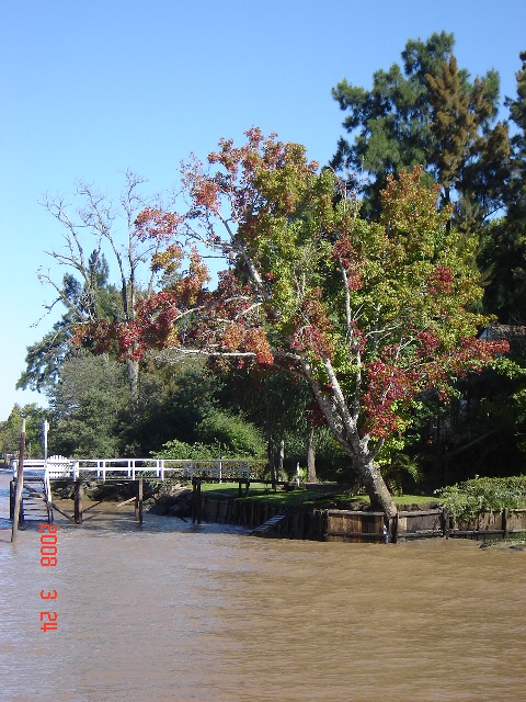 Foto de Tigre - Buenos Aires, Argentina