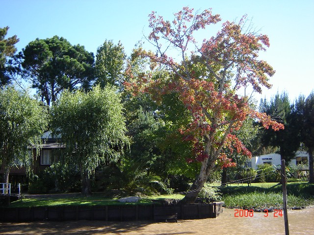 Foto de Tigre - Buenos Aires, Argentina