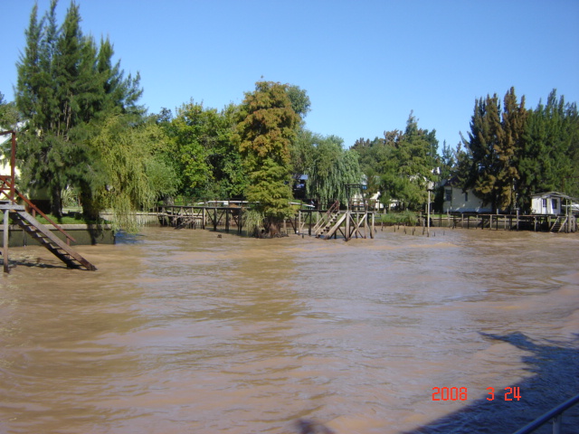 Foto de Tigre - Buenos Aires, Argentina