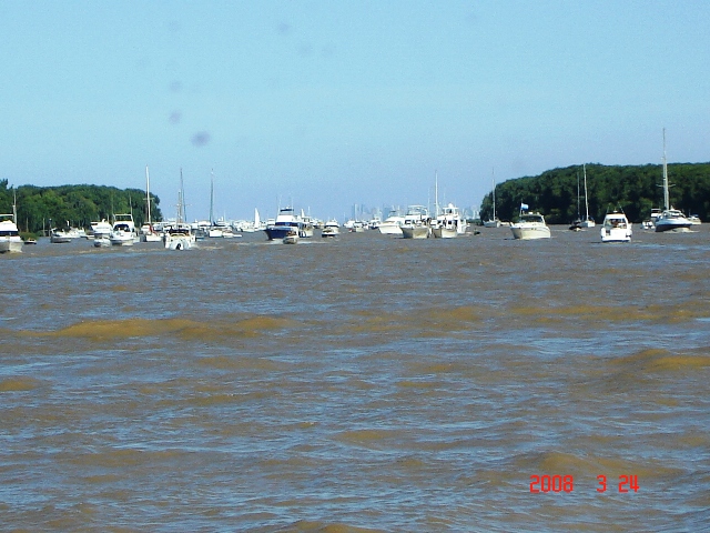 Foto de Tigre - Buenos Aires, Argentina