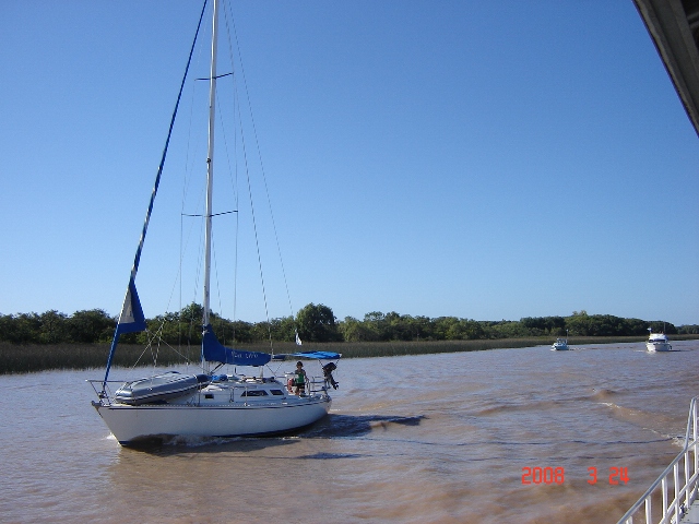 Foto de Tigre - Buenos Aires, Argentina