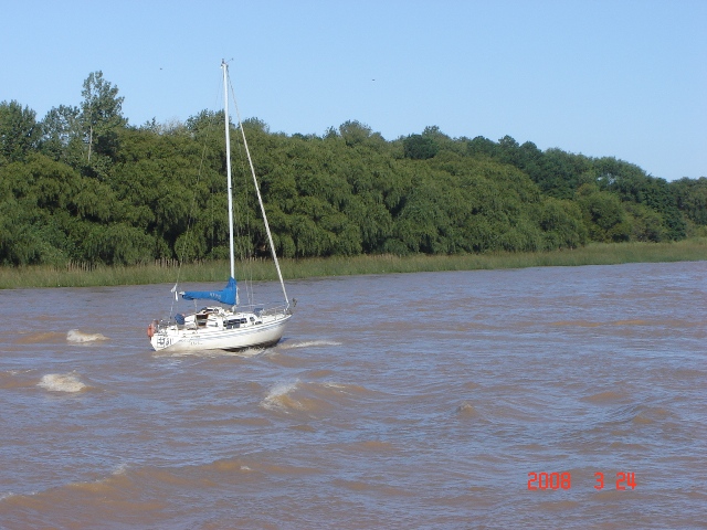 Foto de Tigre - Buenos Aires, Argentina