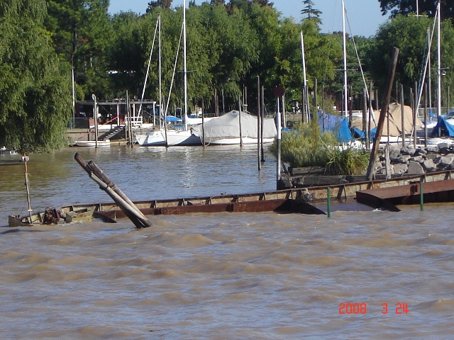 Foto de Tigre - Buenos Aires, Argentina