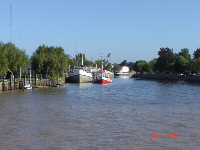 Foto de Tigre - Buenos Aires, Argentina