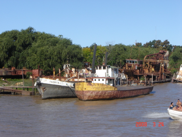 Foto de Tigre - Buenos Aires, Argentina