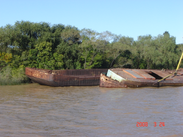 Foto de Tigre - Buenos Aires, Argentina