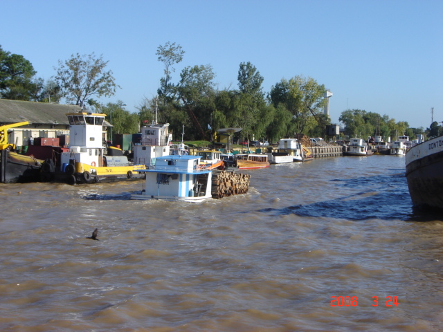 Foto de Tigre - Buenos Aires, Argentina