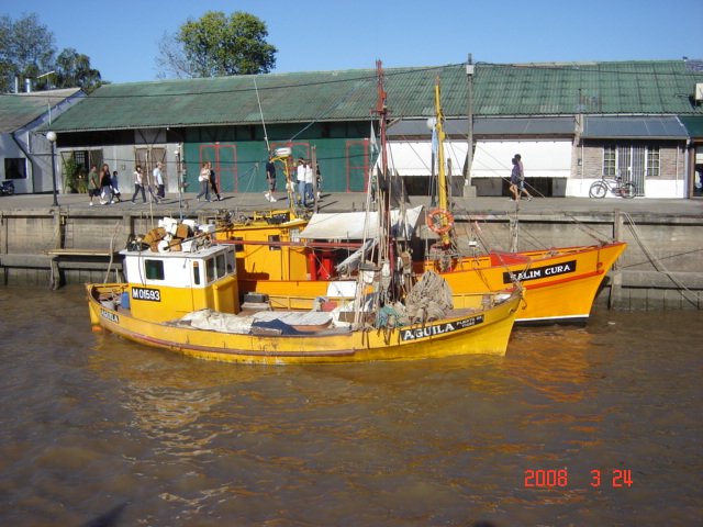 Foto de Tigre - Buenos Aires, Argentina