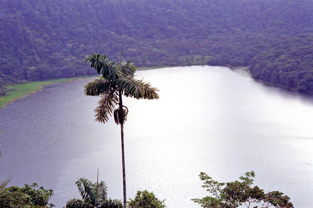 Foto de Sarapiquí, Costa Rica