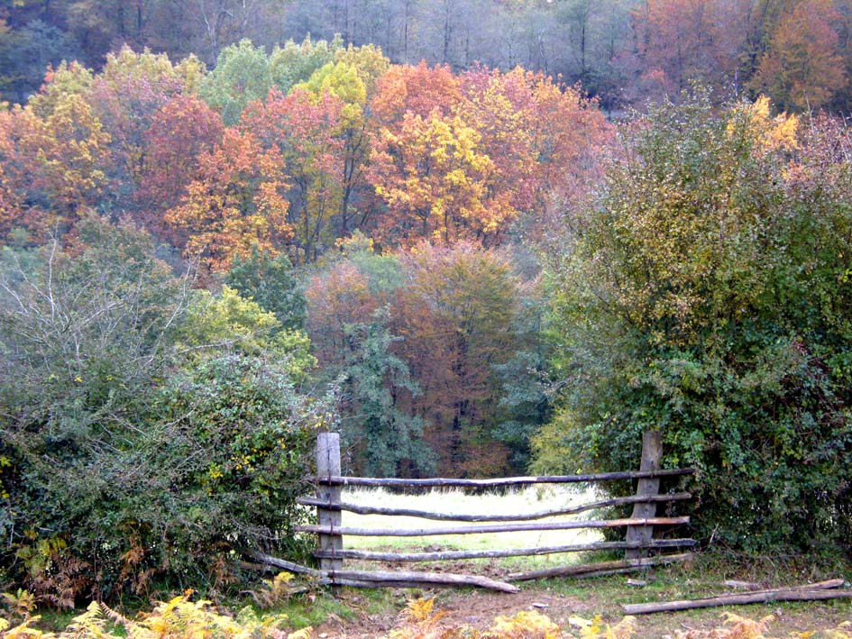 Foto de Leiza (Navarra), España