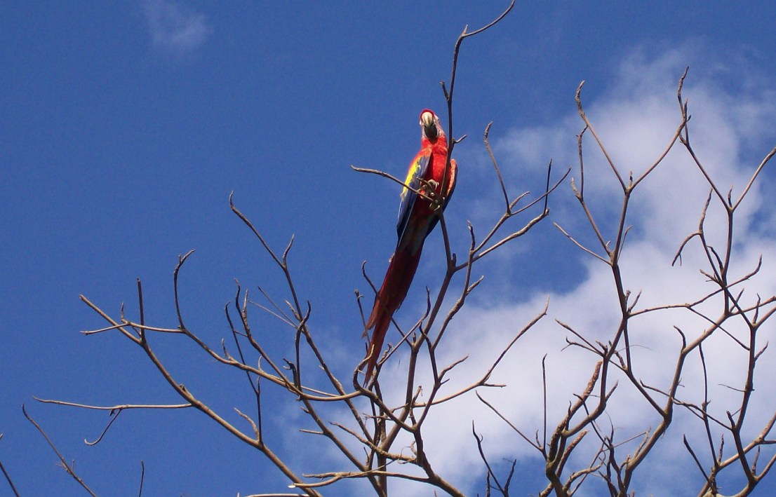 Foto de Puntarenas, Costa Rica