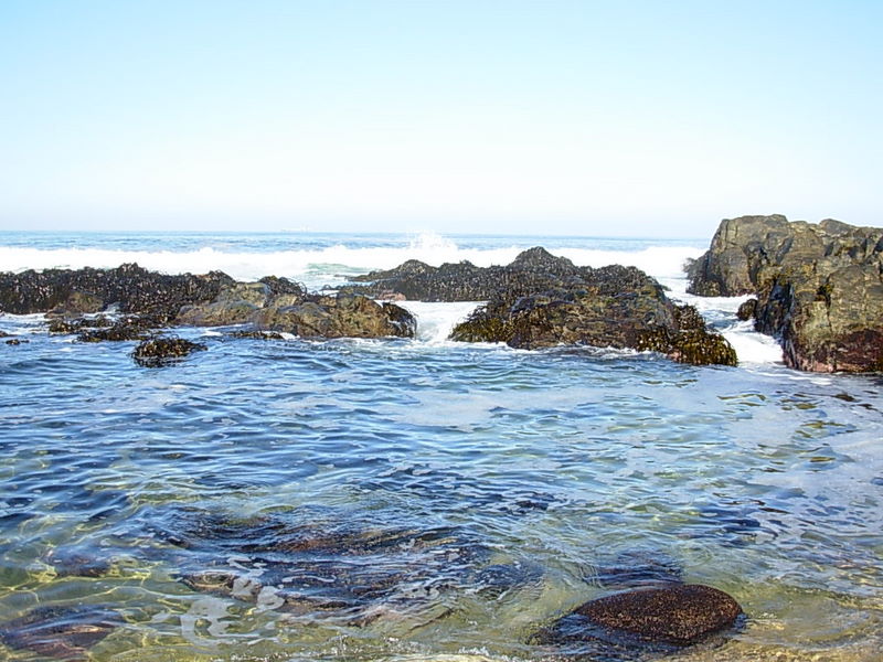 Foto de Isla Negra - El Quisco, Chile