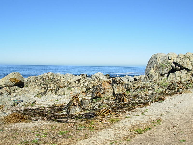 Foto de Isla Negra - El Quisco, Chile