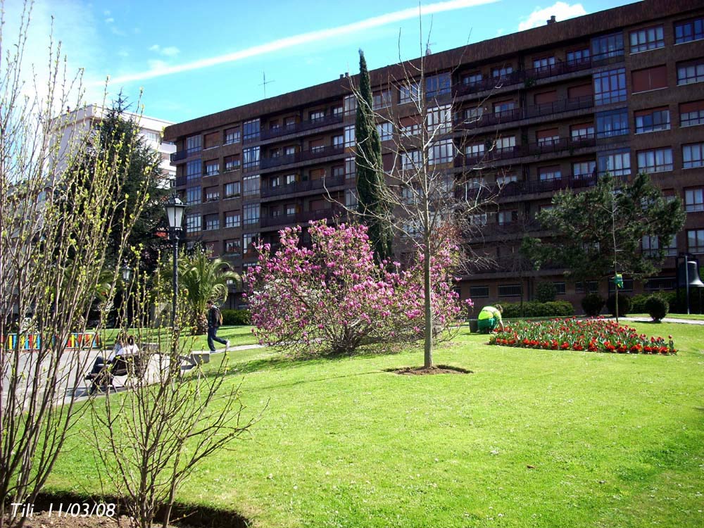 Foto de Oviedo (Asturias), España