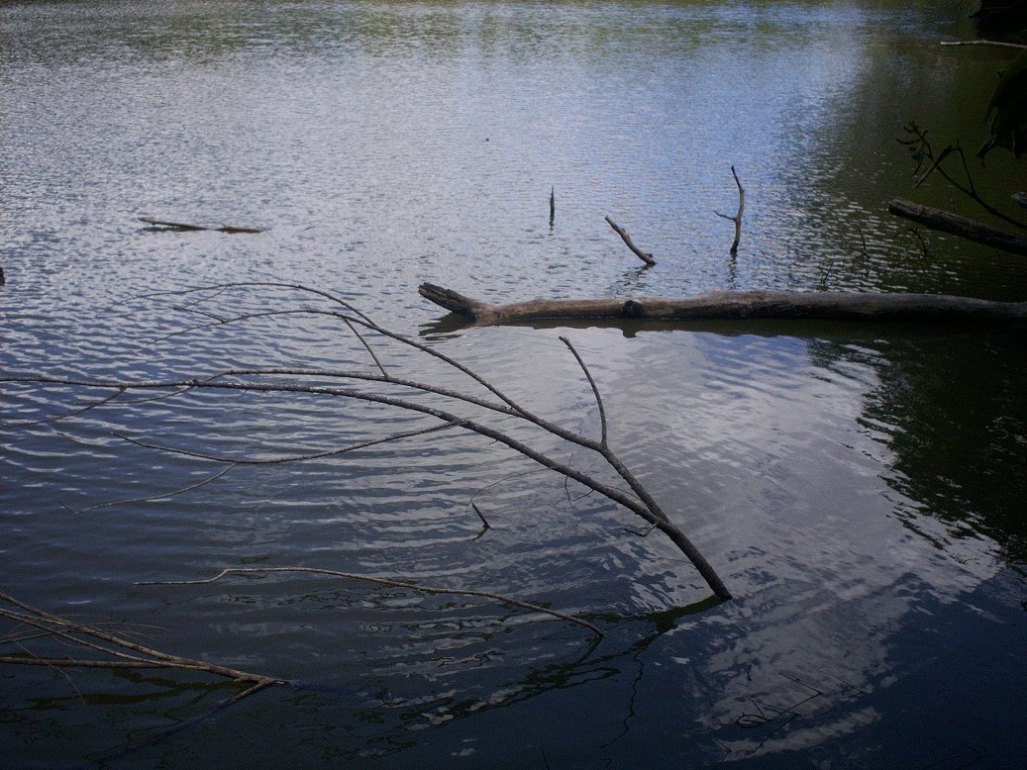 Foto: LAGUNA DE FRAIJANES (Fraijanes De San Isidro De Alajuela) - Fraijanes (Alajuela), Costa Rica