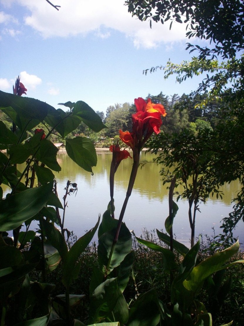 Foto: LAGUNA DE FRAIJANES (Fraijanes De San Isidro De Alajuela) - Fraijanes (Alajuela), Costa Rica