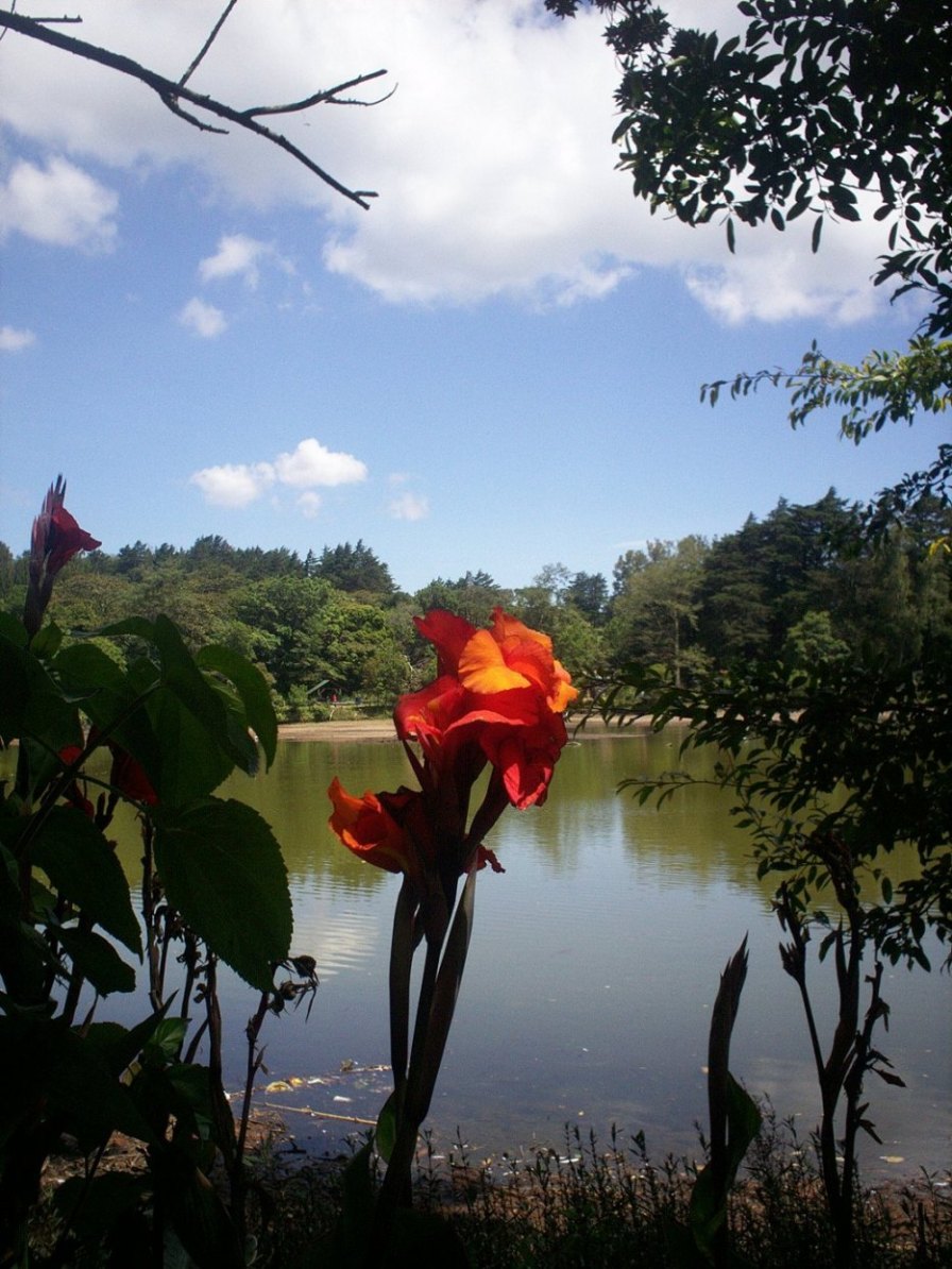 Foto: LAGUNA DE FRAIJANES (Fraijanes De San Isidro De Alajuela) - Fraijanes (Alajuela), Costa Rica