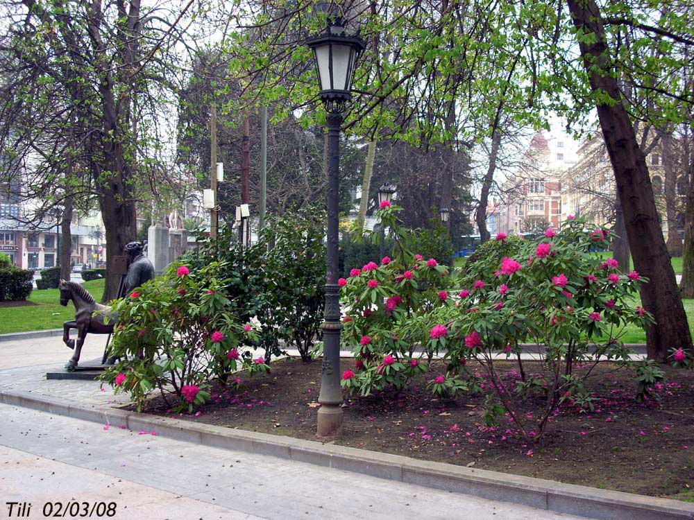 Foto de Oviedo (Asturias), España