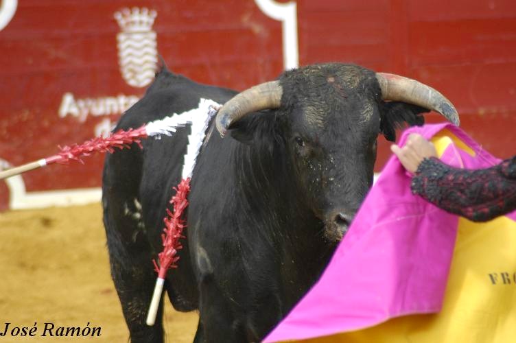 Foto de Jerez de la Frontera (Cádiz), España