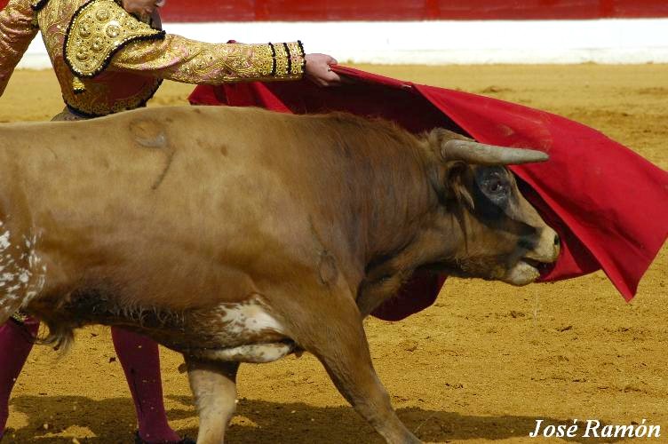 Foto de Jerez de la Frontera (Cádiz), España